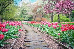 entretien du jardin